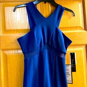 Trixxi Royal Blue Mini Dress
